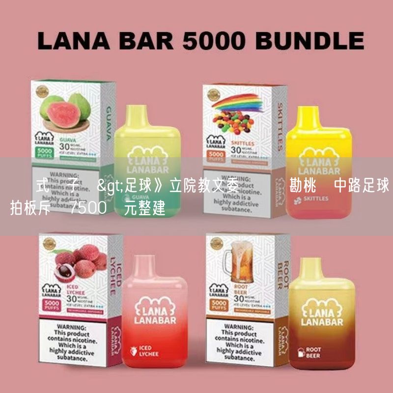 拋棄式電子煙>足球》立院教文委員會現勘桃園中路足球場 拍板斥資7500萬元整建